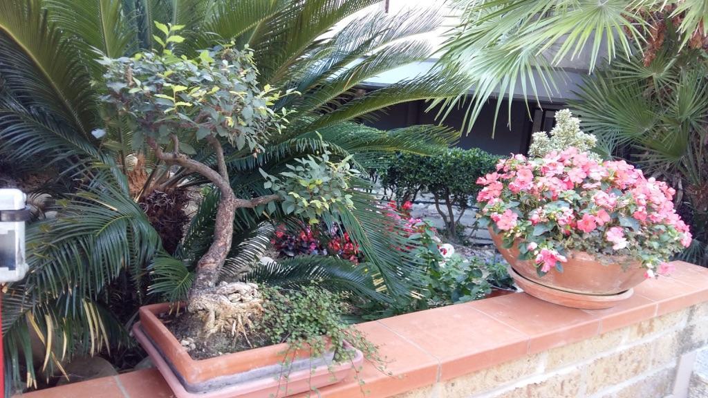 B&B Mirella Citta Sant'Angelo Extérieur photo